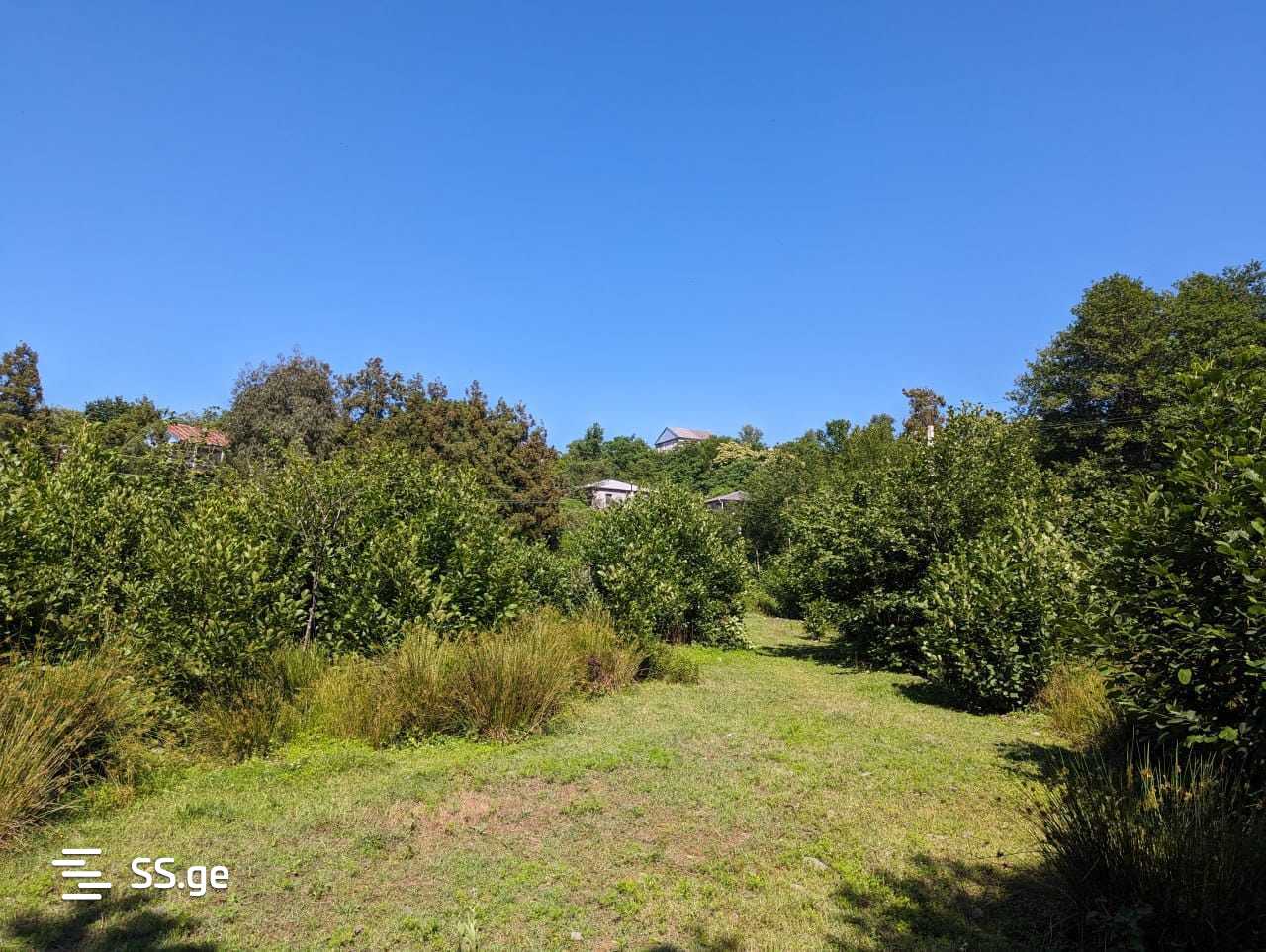 Land For Sale. Chaqvi view 3