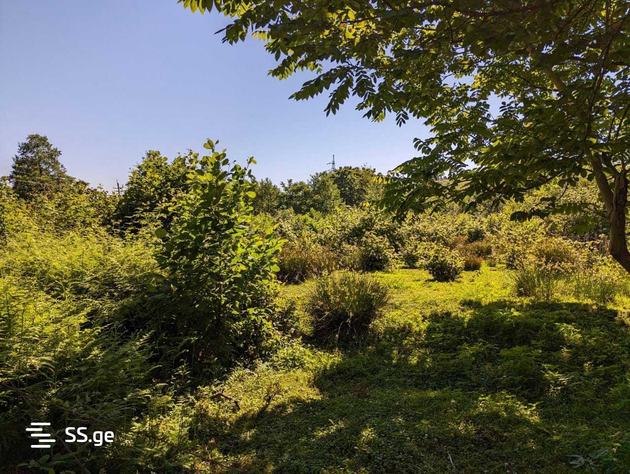 Land For Sale. Chaqvi view 5