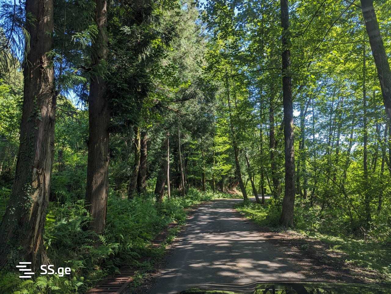 Land For Sale. Chaqvi view 7