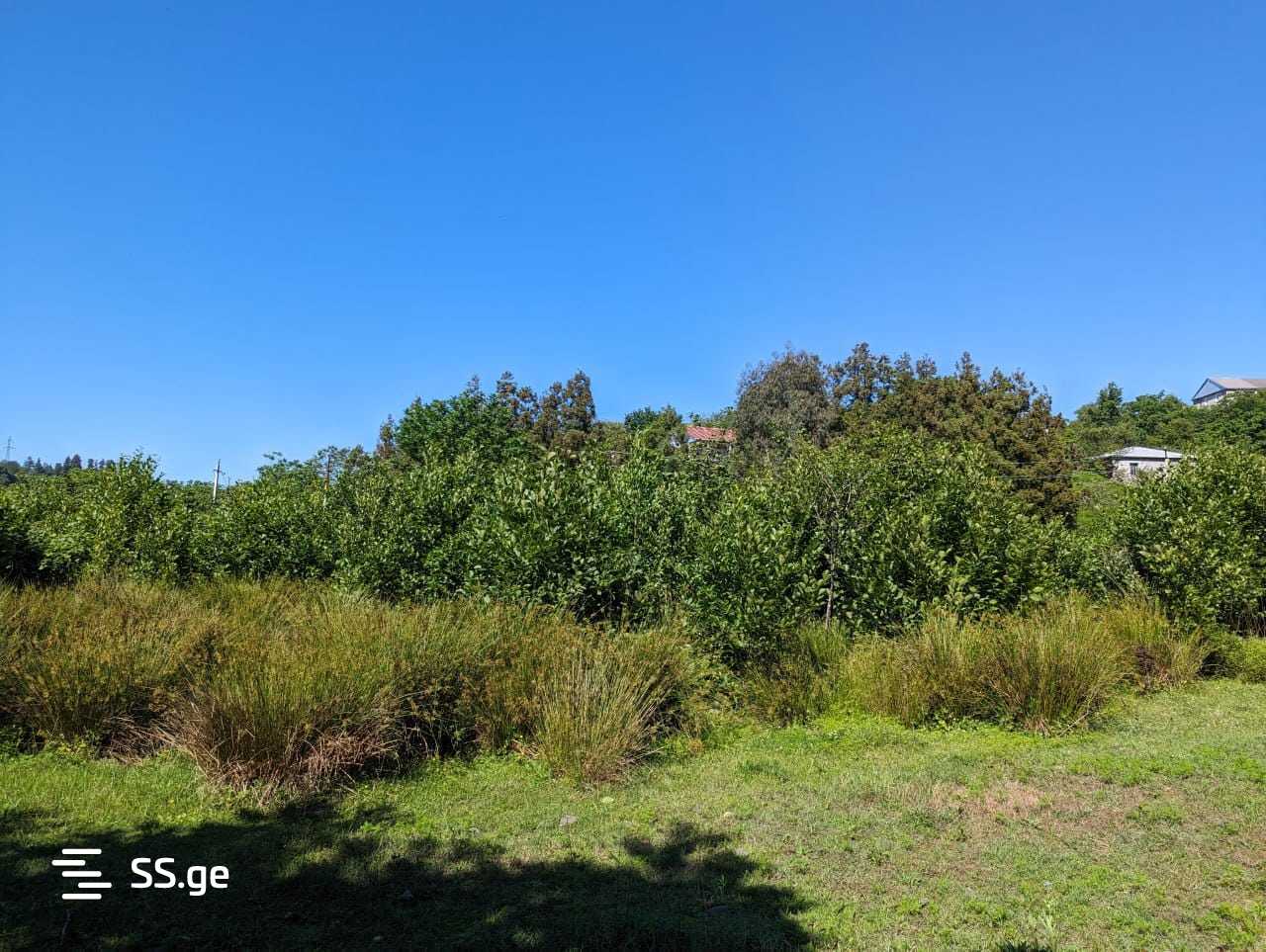 Land For Sale. Chaqvi view 1