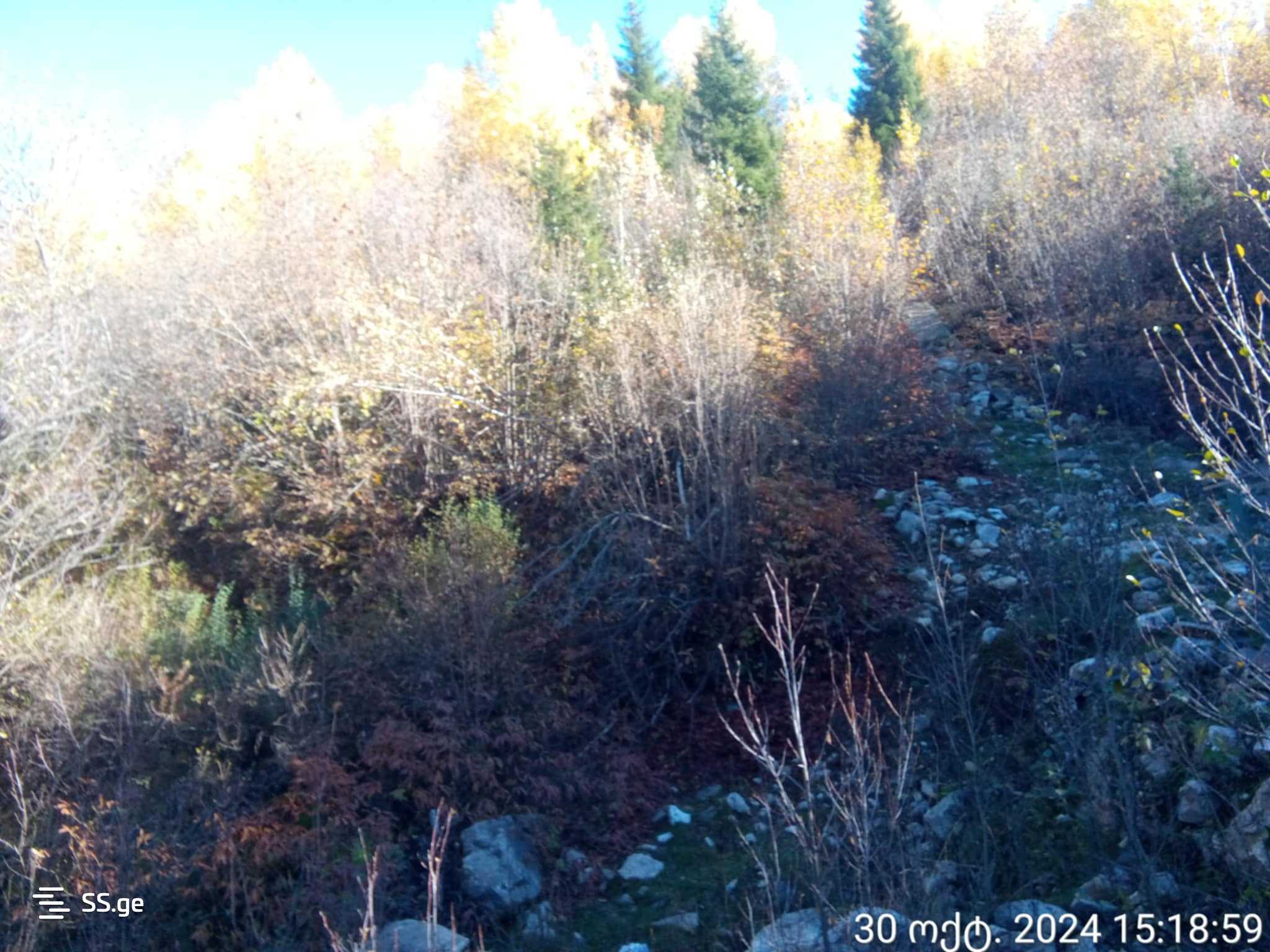 Land For Sale. Mestia view 2