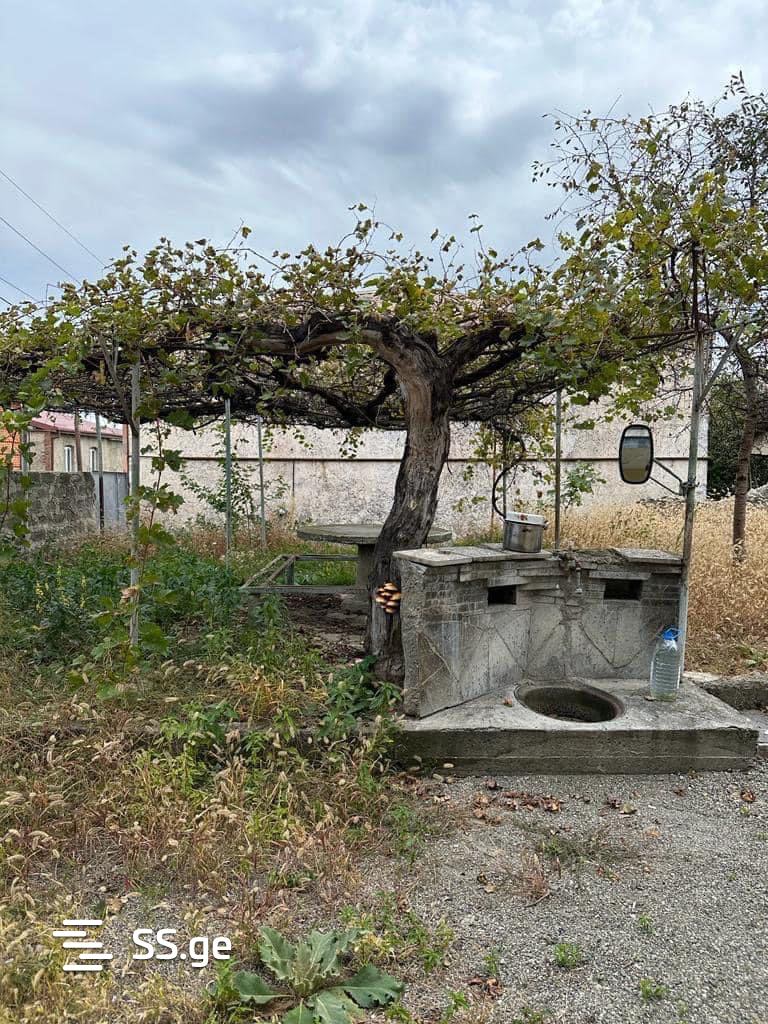 3 Room Private House For Rent. Telavi view 7