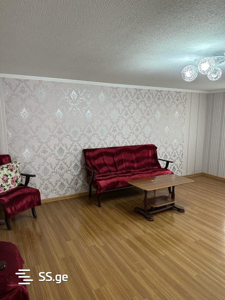 3 Room Private House For Rent. Telavi view 8