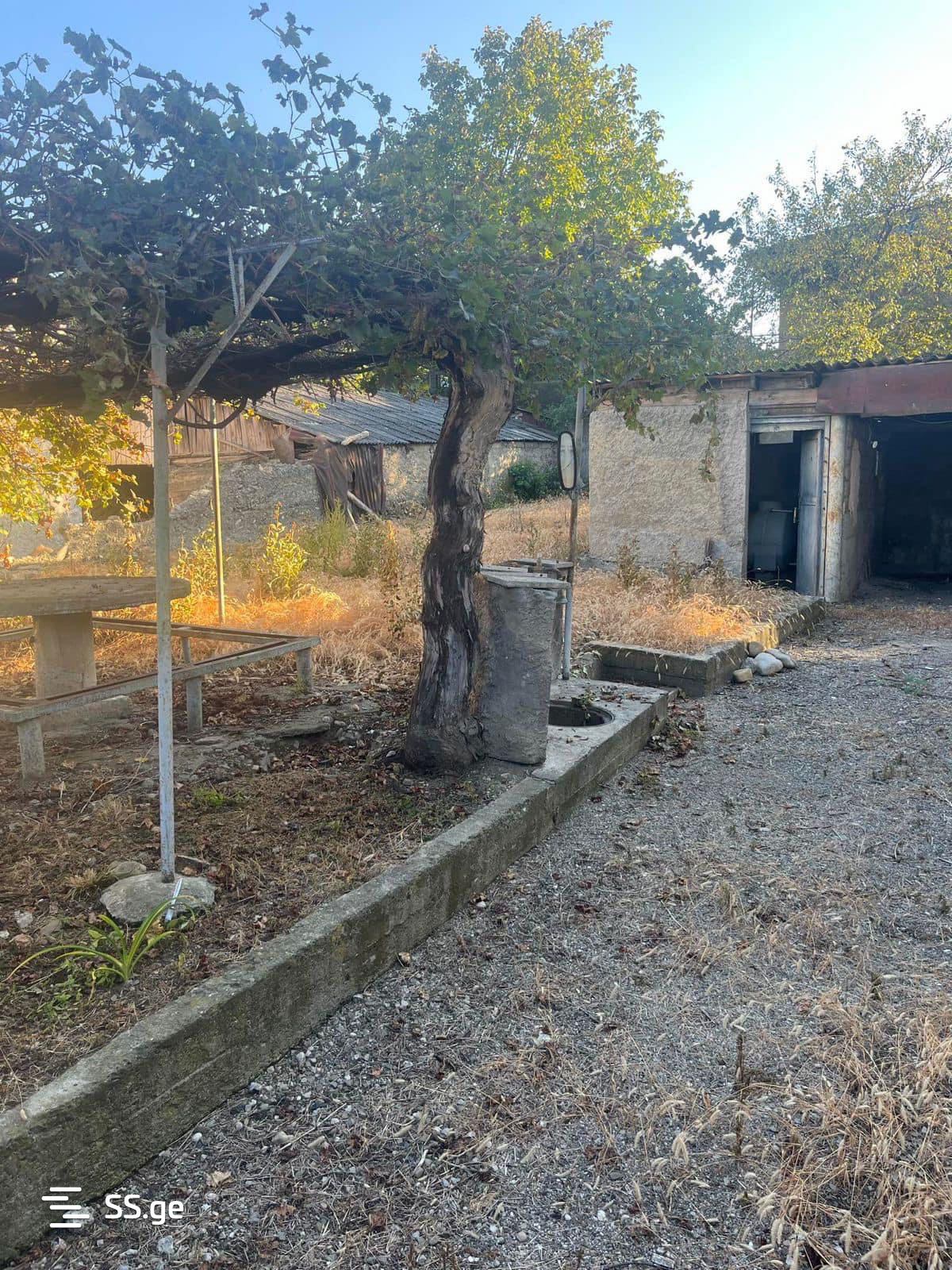 3 Room Private House For Rent. Telavi view 10