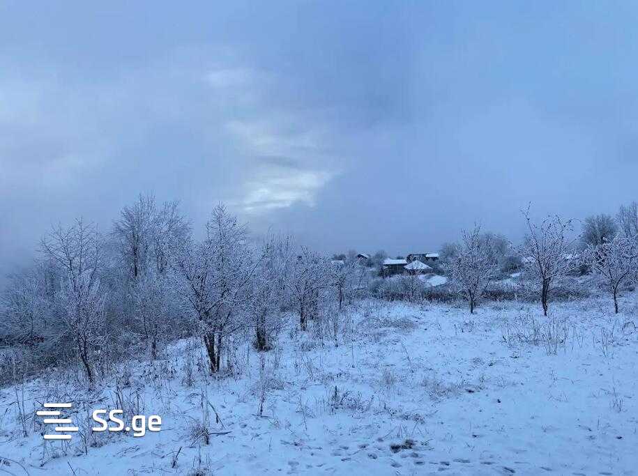 4 Room Summer Cottage Daily Rent. Gudauri, 6 of 11