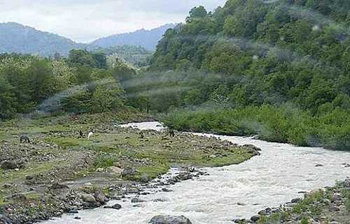 Land For Sale. Ozurgeti