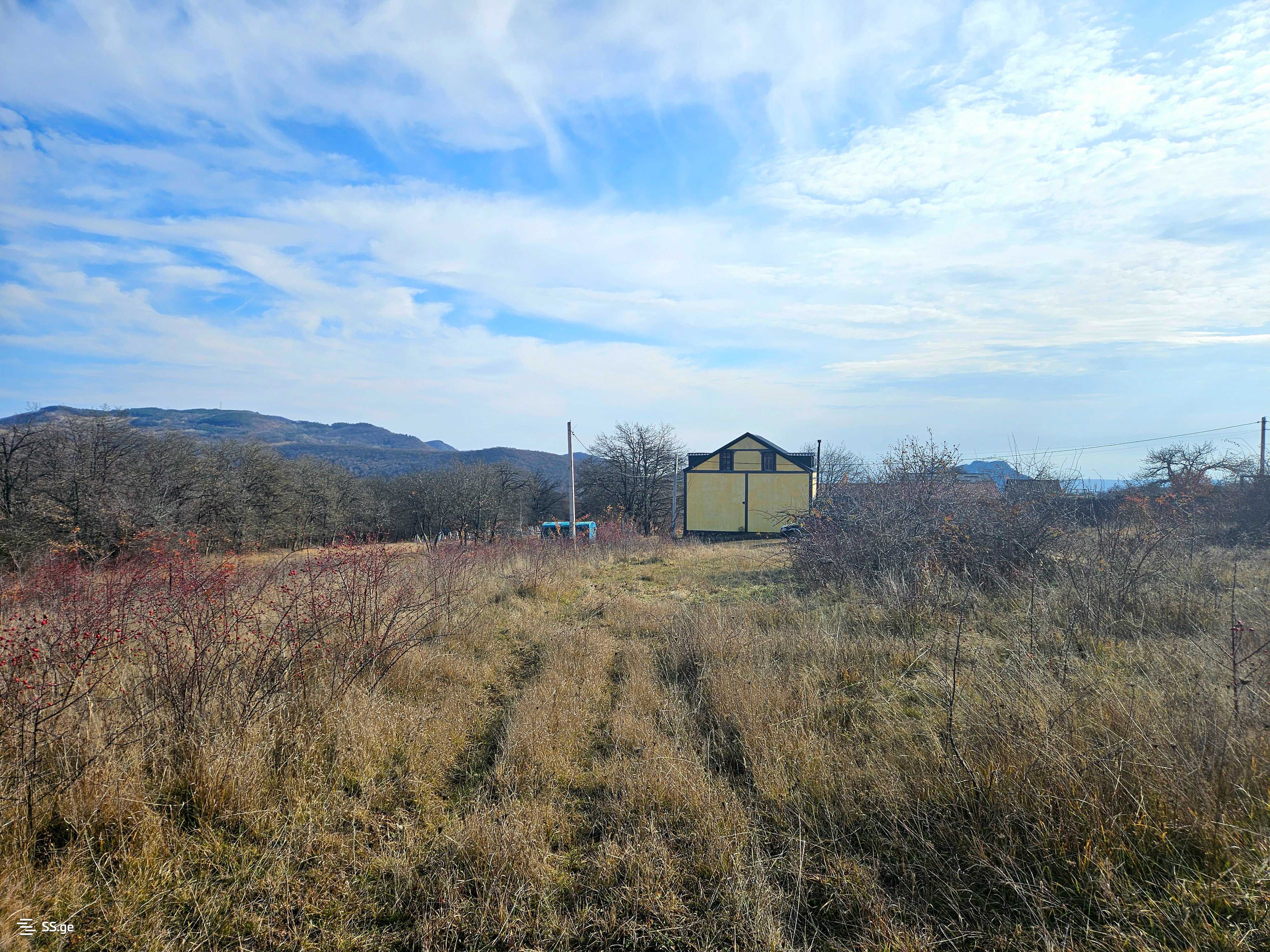 Land For Sale. Orbeti view 7