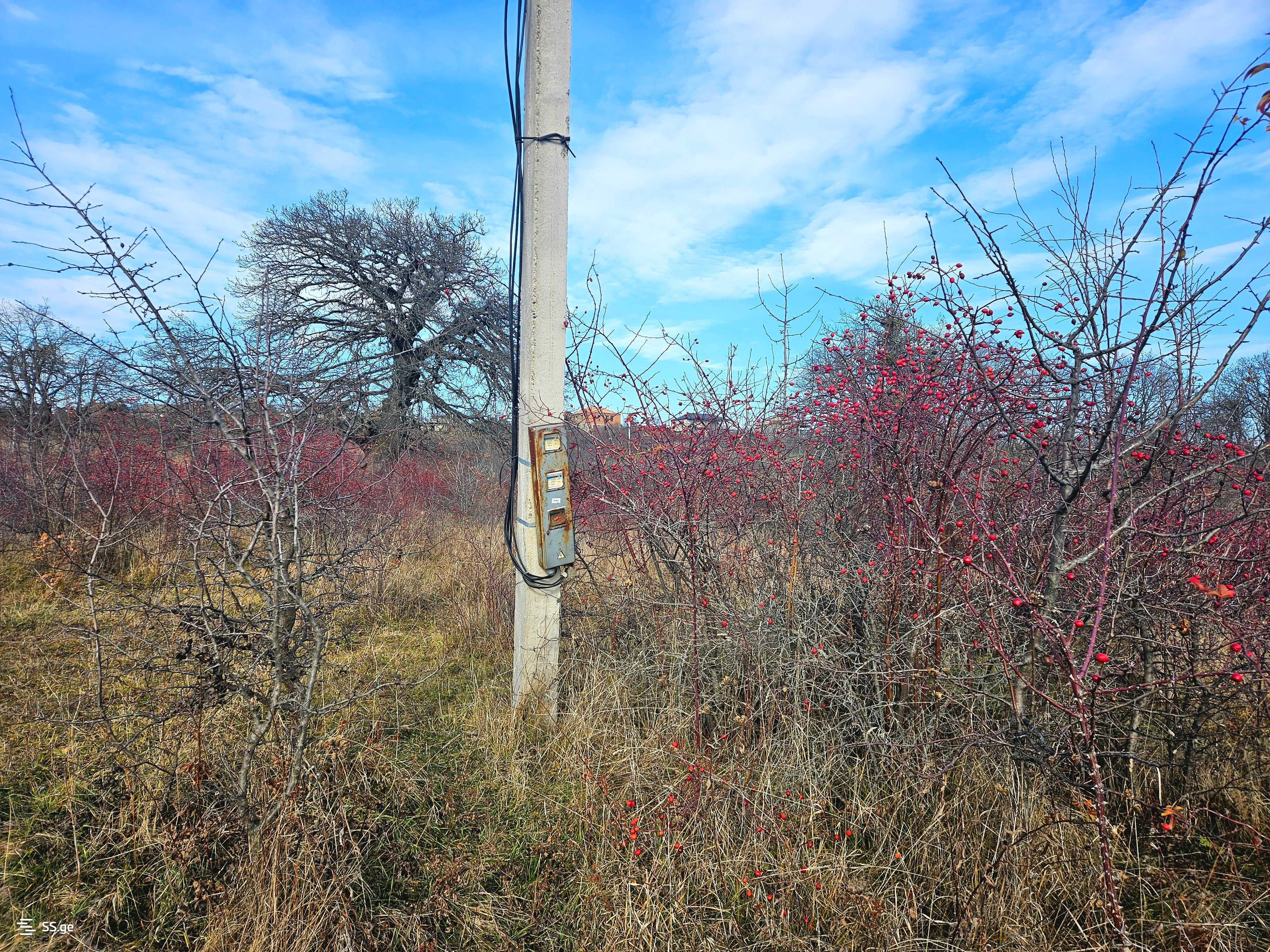 Land For Sale. Orbeti view 6