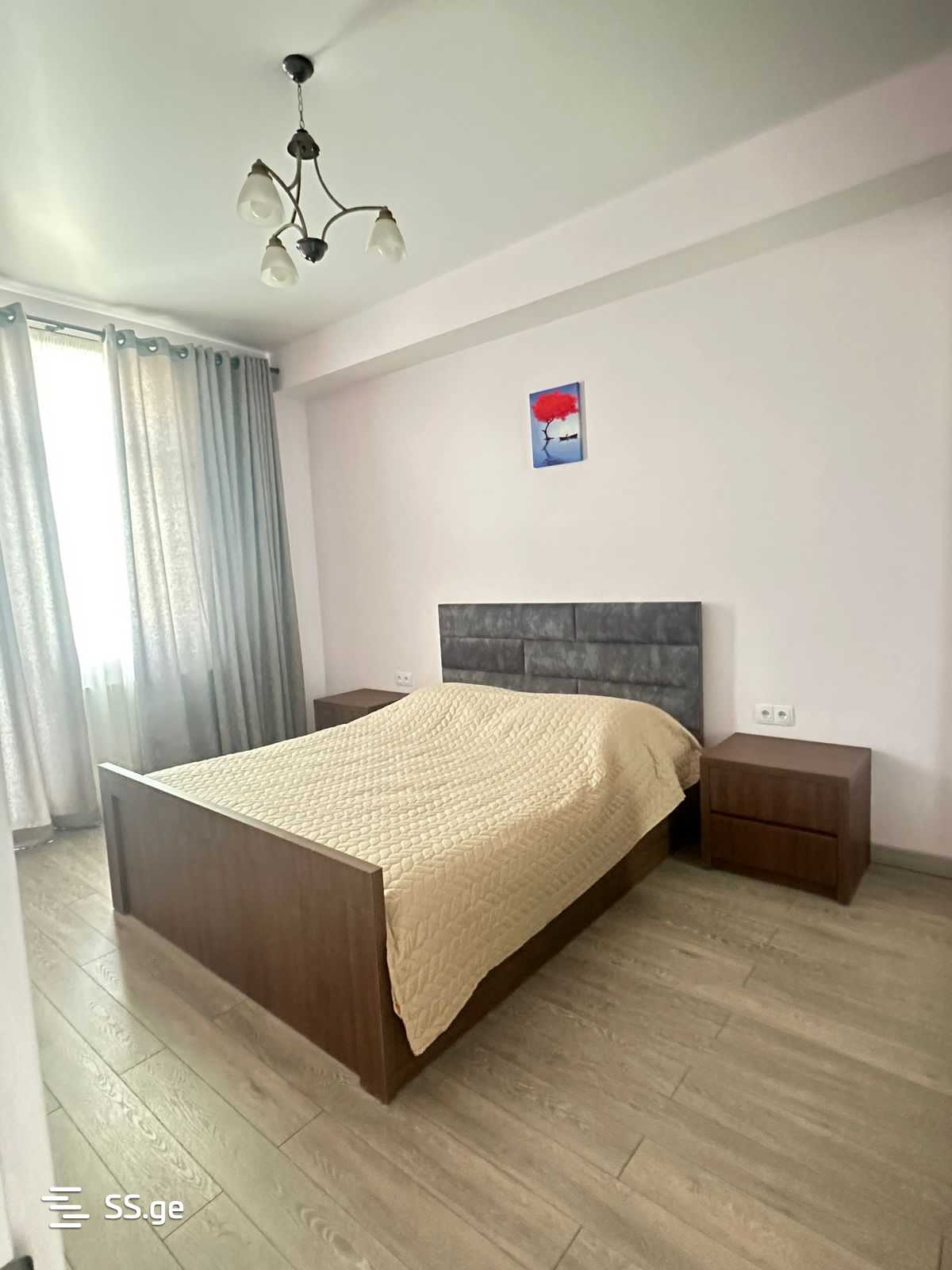 3 Room Flat Daily Rent. Rustavi view 12