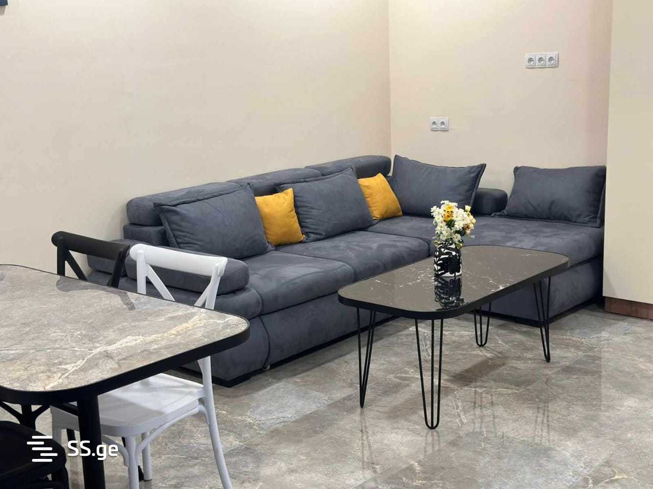3 Room Flat Daily Rent. Rustavi view 2