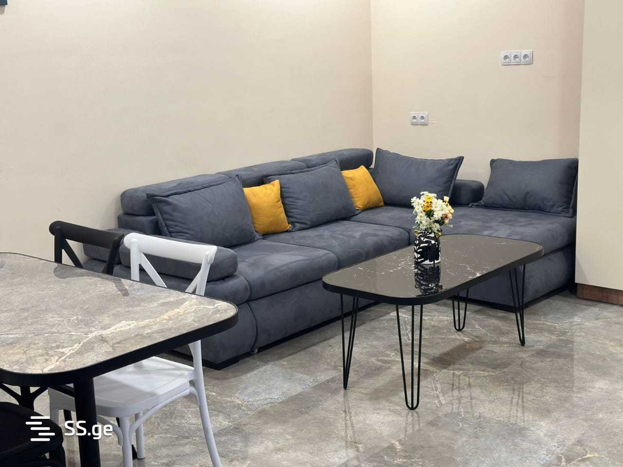 3 Room Flat Daily Rent. Rustavi view 1