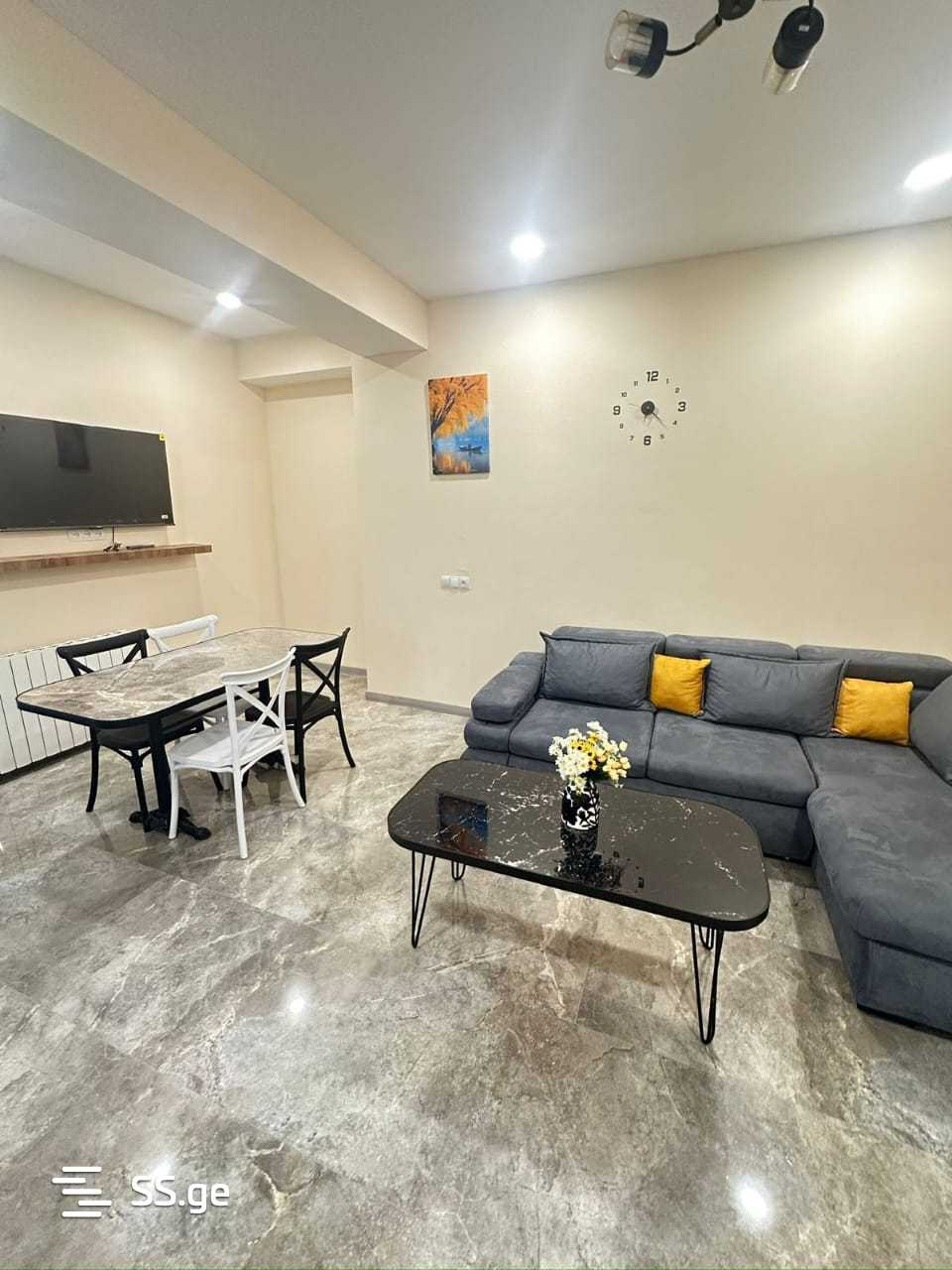 3 Room Flat Daily Rent. Rustavi view 3
