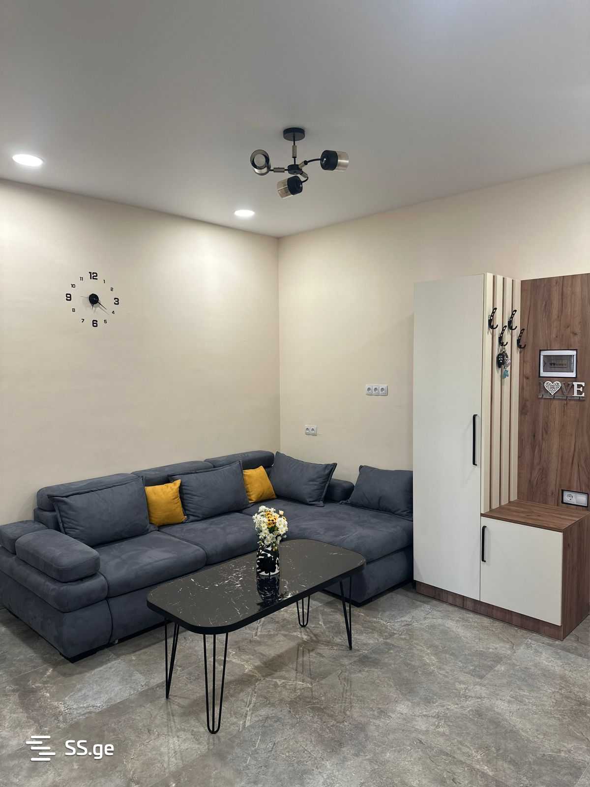 3 Room Flat Daily Rent. Rustavi view 9
