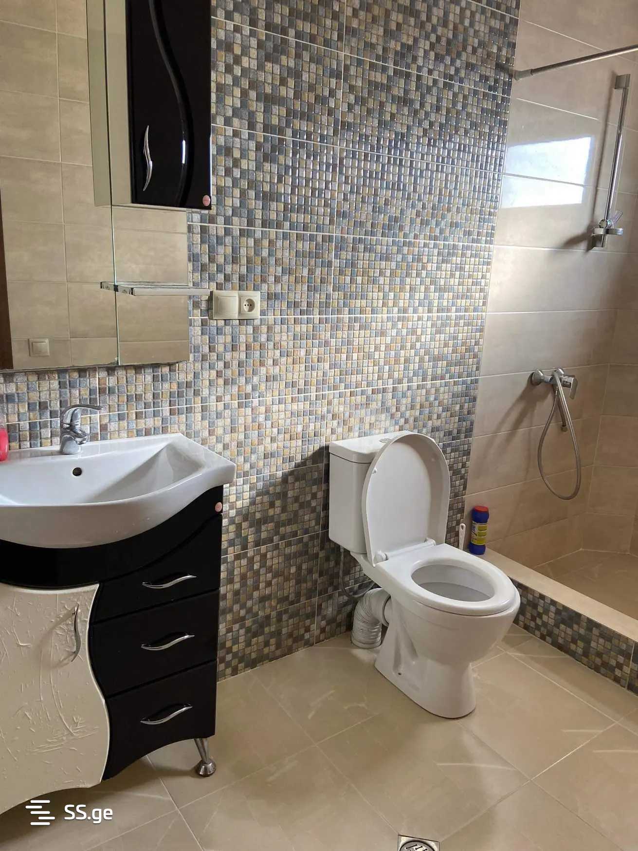 8 Room Private House For Rent. Didi Digomi, 10 of 12