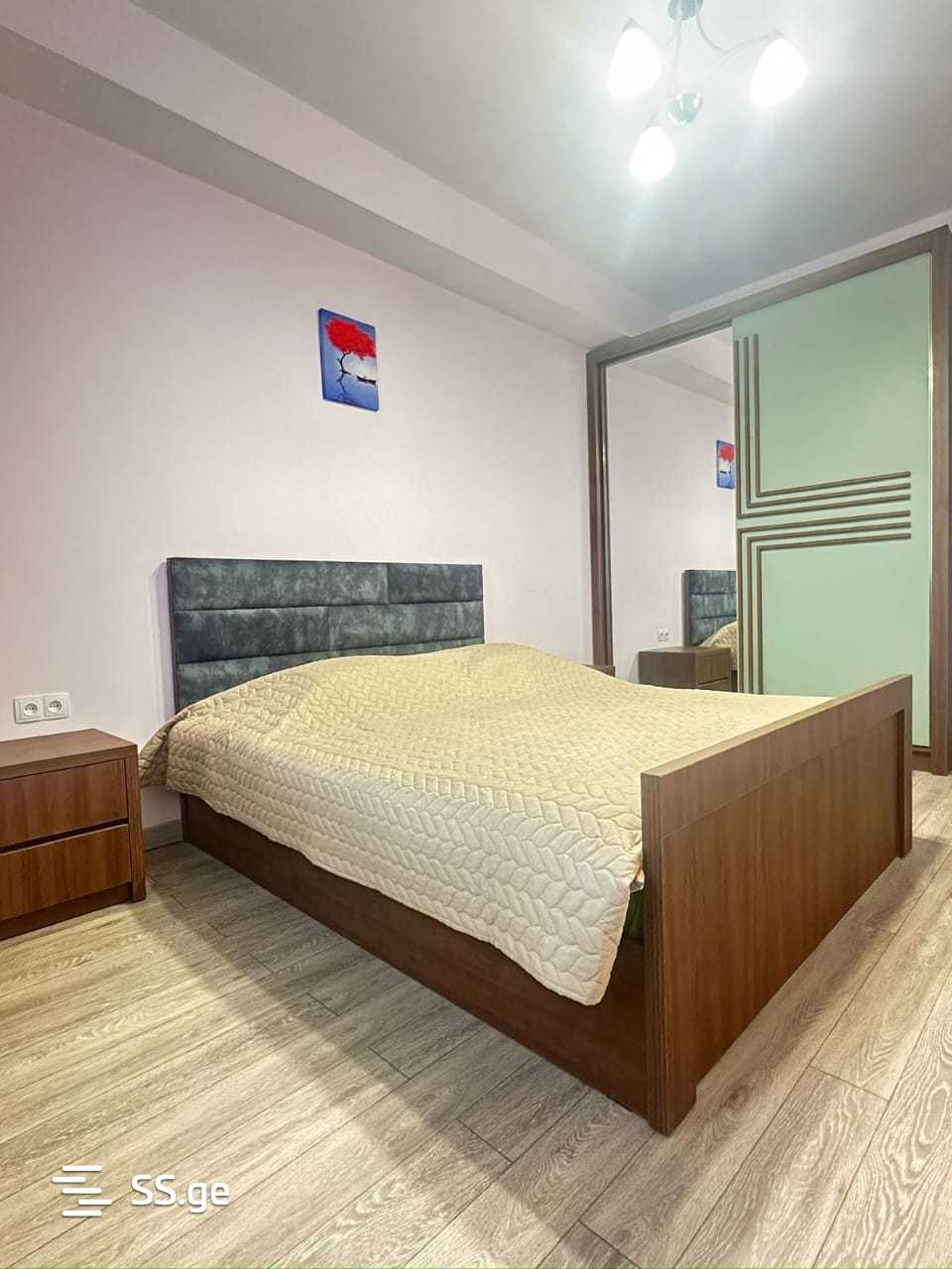 3 Room Flat Daily Rent. Rustavi, 4 of 4