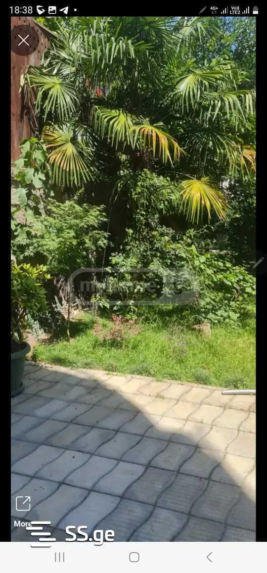 Private House For Rent. Vake view 5
