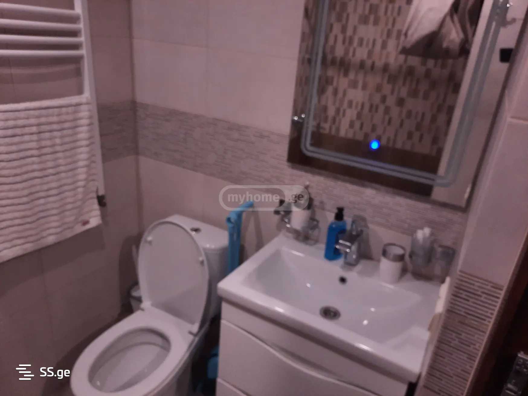 5 Room Private House For Rent. Mukhattskaro view 11