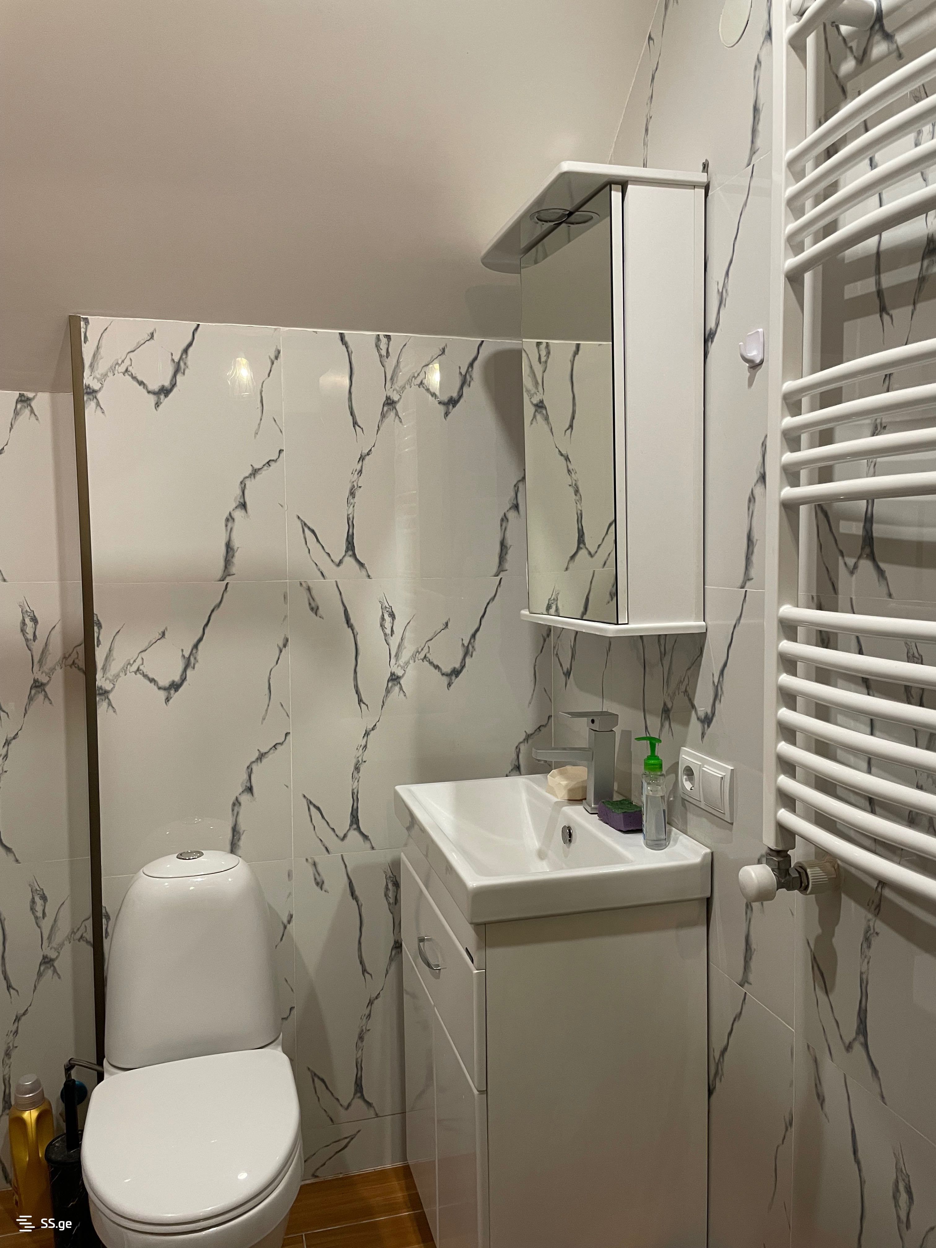 3 Room Flat Daily Rent. Bakuriani view 3