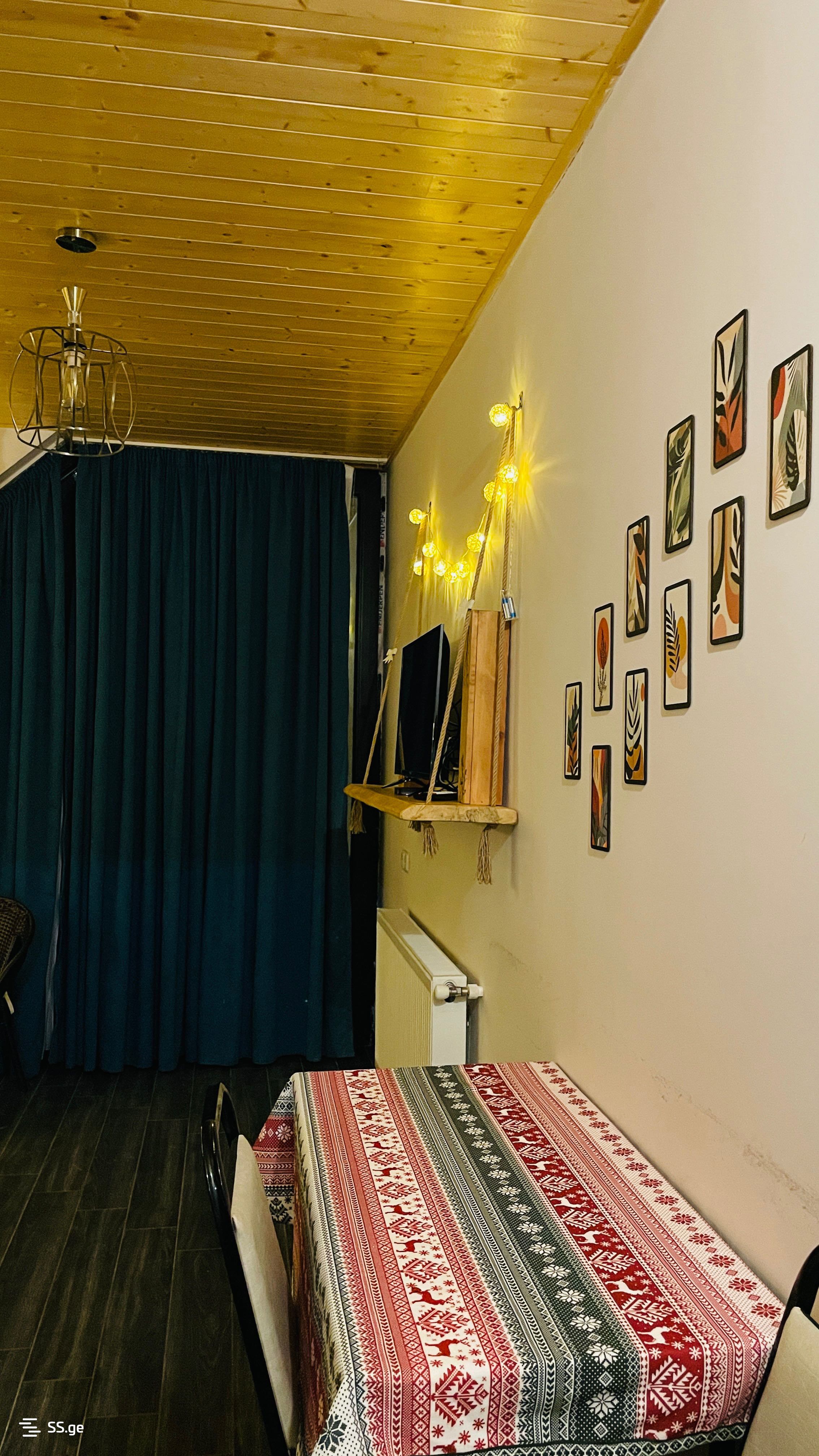 3 Room Flat Daily Rent. Bakuriani view 5