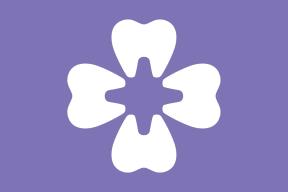 similarimg