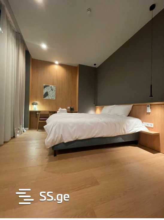 46 Room Hotel For Rent. Saburtalo view 11