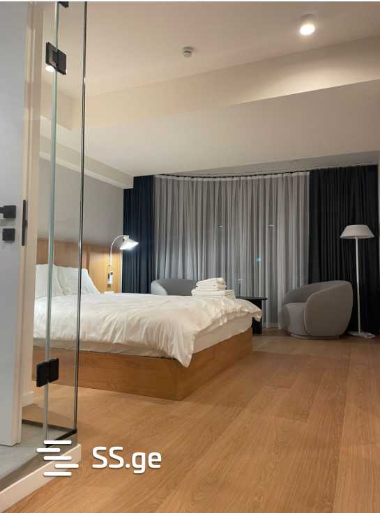 46 Room Hotel For Rent. Saburtalo view 8