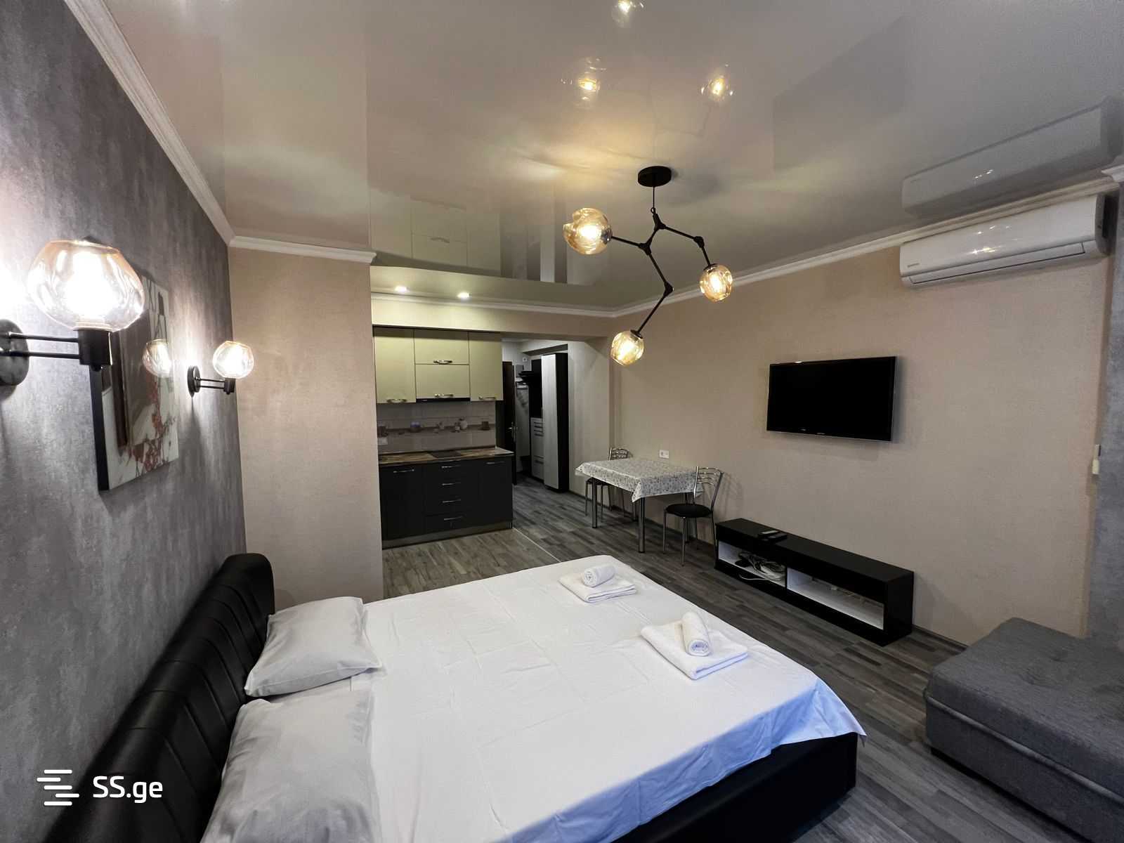 1 Room Flat For Rent. Batumi view 6