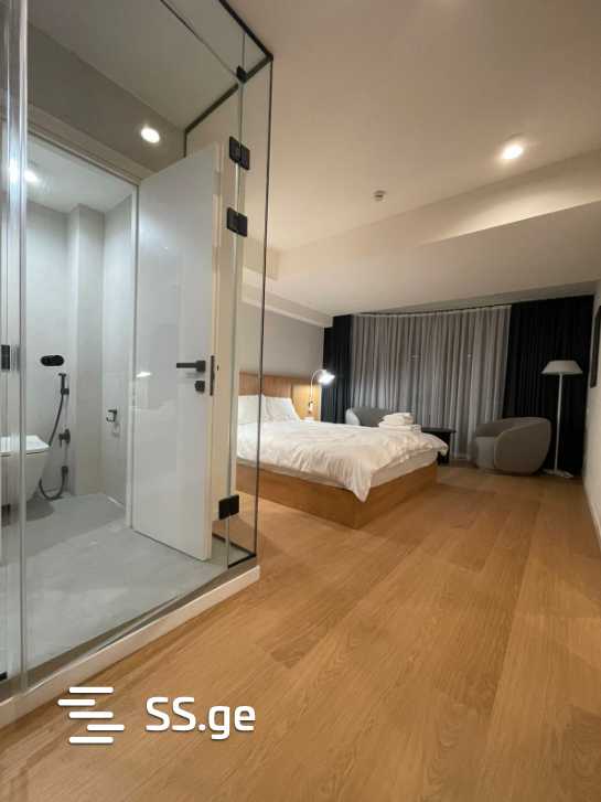 46 Room Hotel For Rent. Saburtalo view 7
