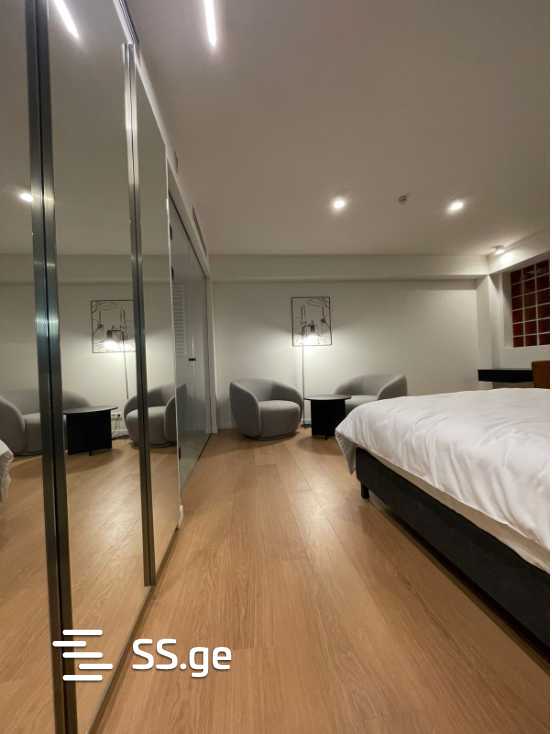 46 Room Hotel For Rent. Saburtalo view 10