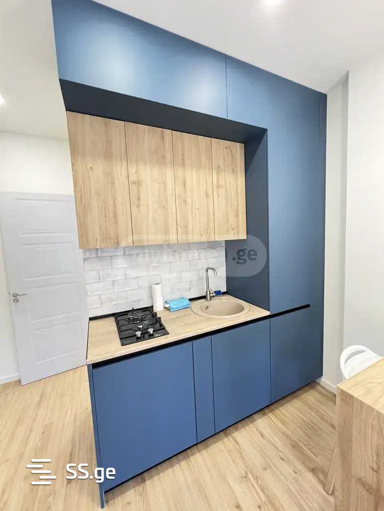 2 Room Flat For Rent. Saburtalo view 4