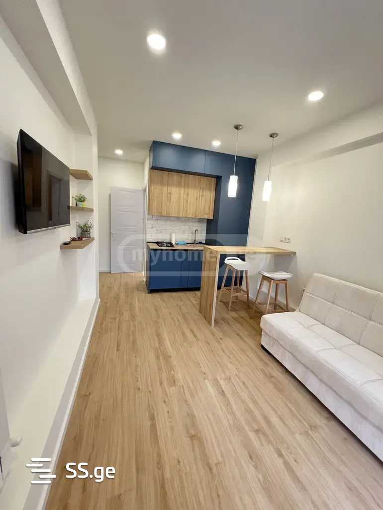 2 Room Flat For Rent. Saburtalo view 1