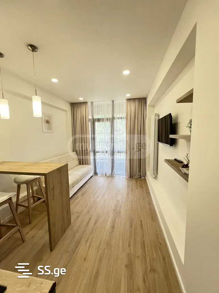 2 Room Flat For Rent. Saburtalo view 2