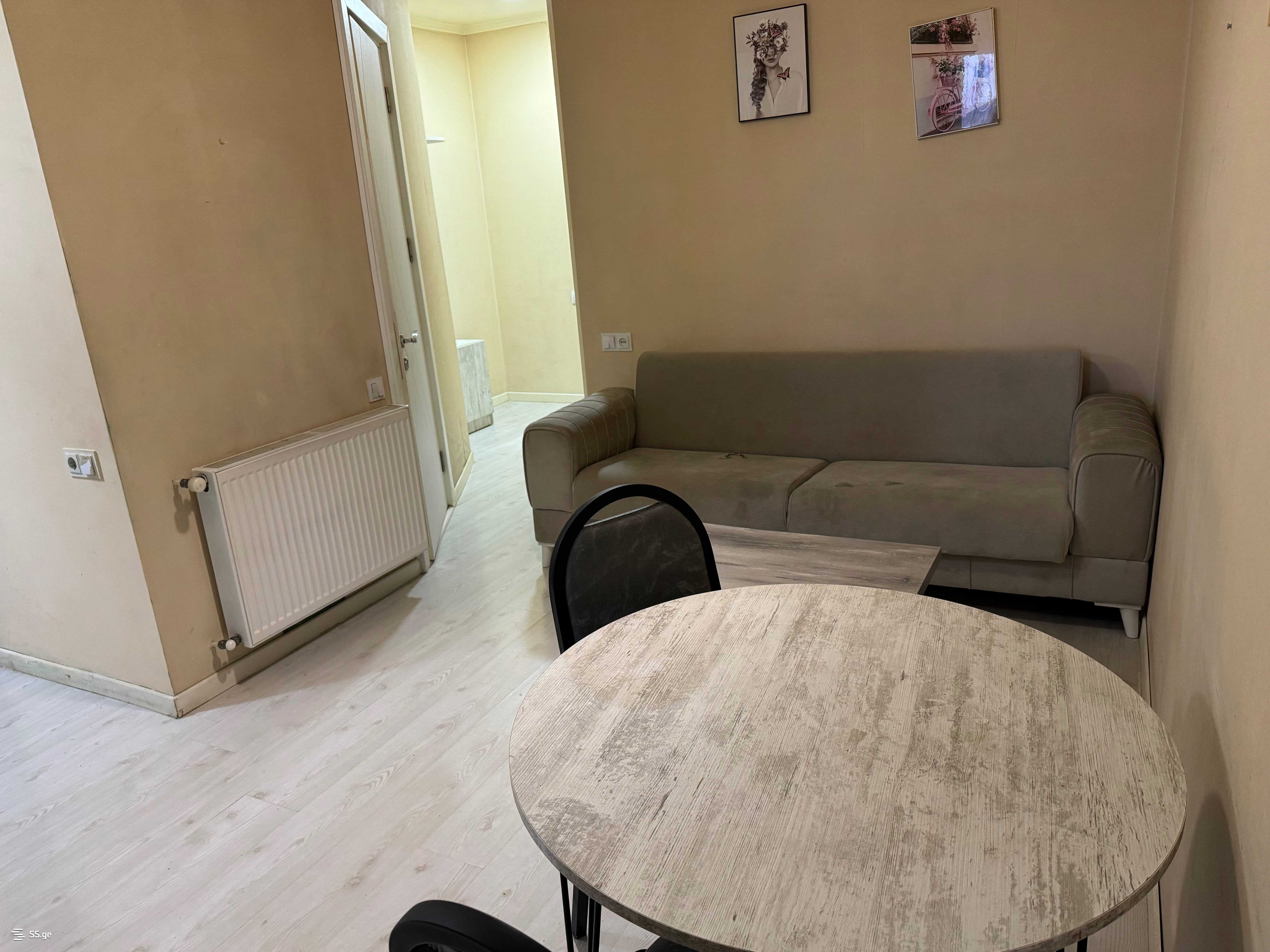 2 Room Flat For Rent. Didi Digomi view 8