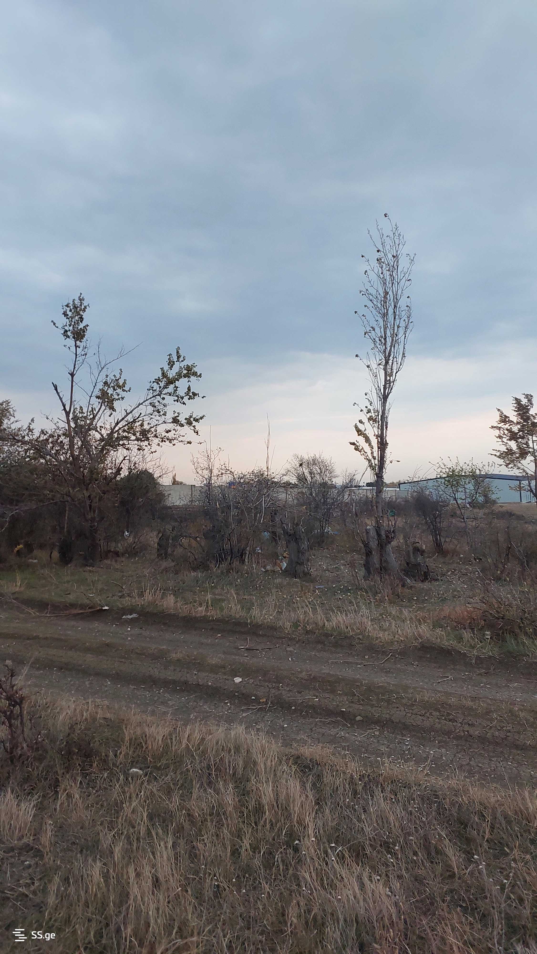 Продажа Земля / участок в Самгори view 4