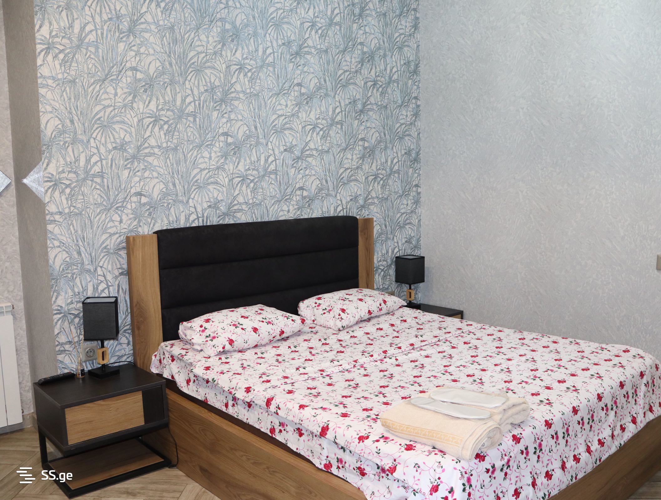 2 Room Flat Daily Rent. Varketili view 4