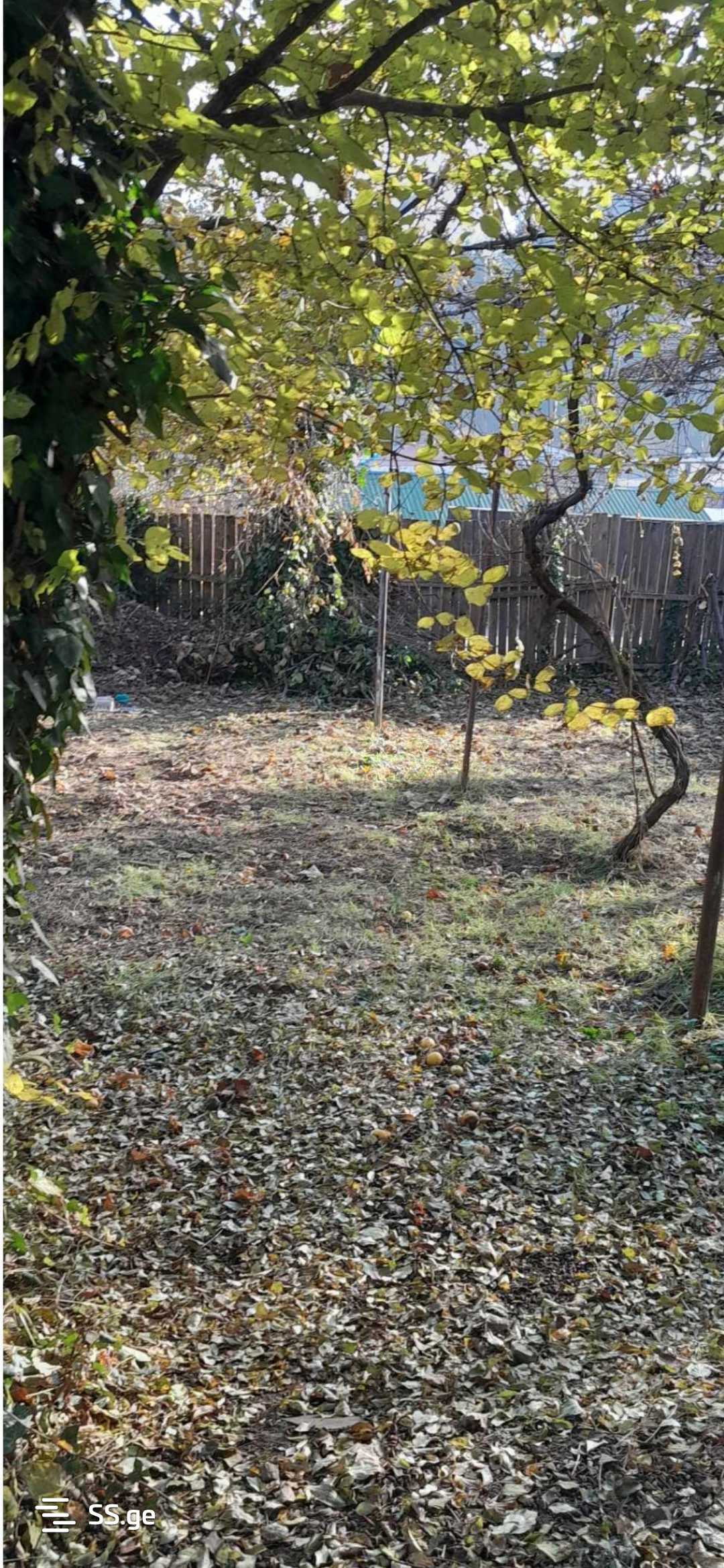 4 Room Private House For Sale view 4