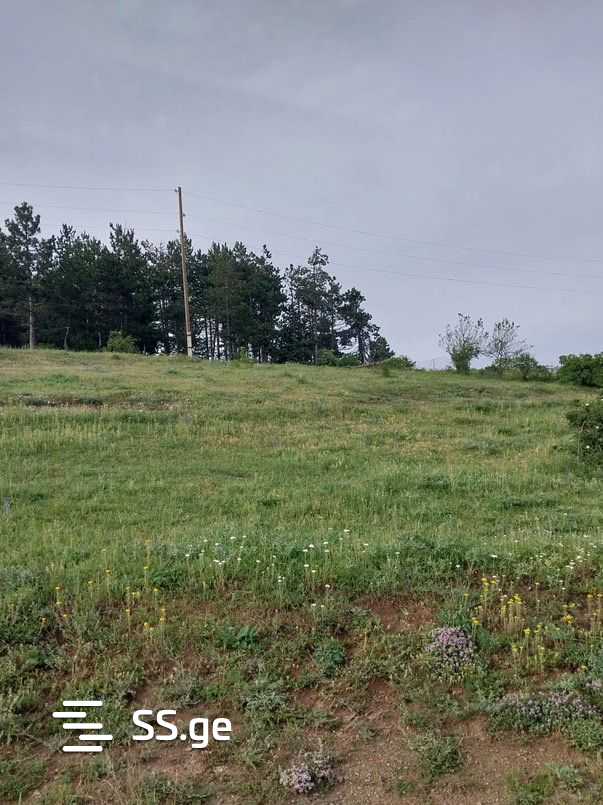 Land For Sale. Orbeti view 4