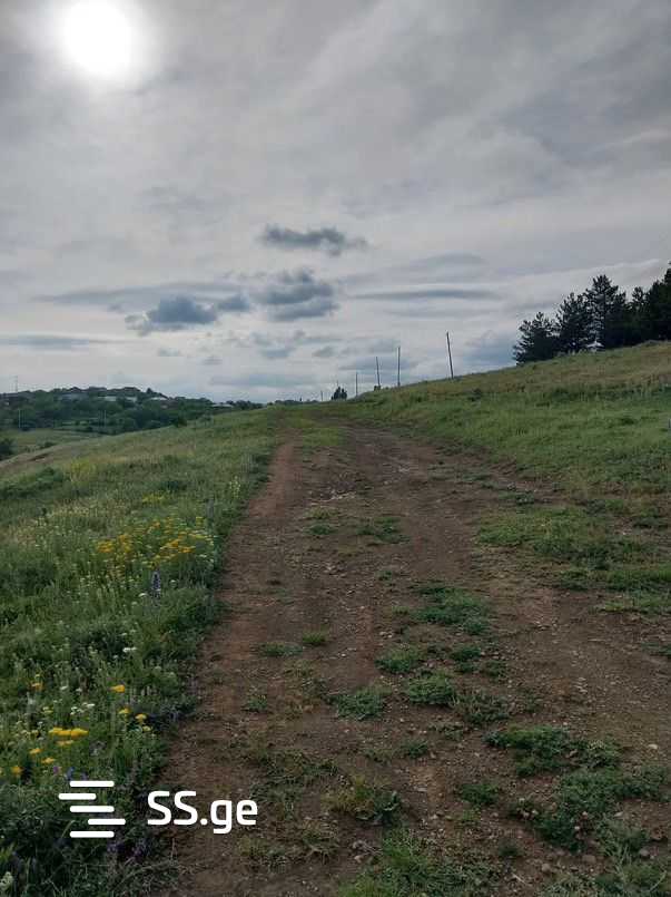 Land For Sale. Orbeti view 5
