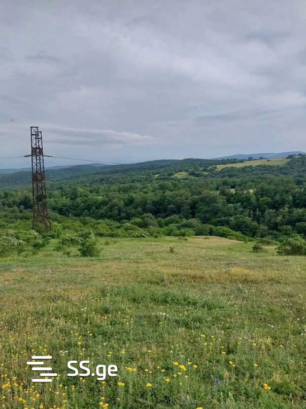 Land For Sale. Orbeti view 1