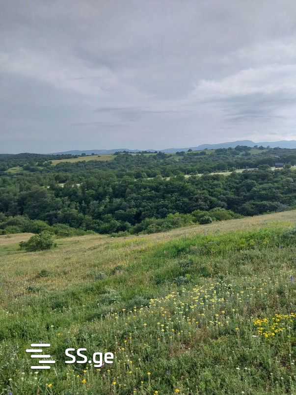Land For Sale. Orbeti view 3