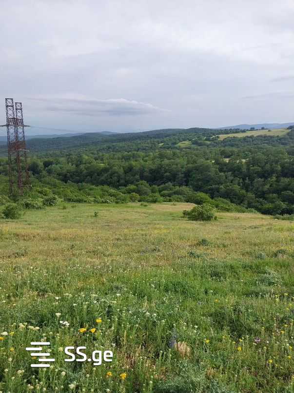 Land For Sale. Orbeti view 2