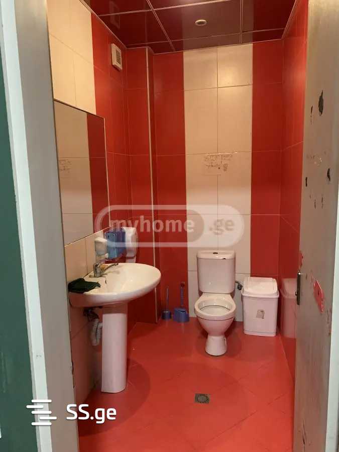5 Room Private House Daily Rent. Nadzaladevi view 11