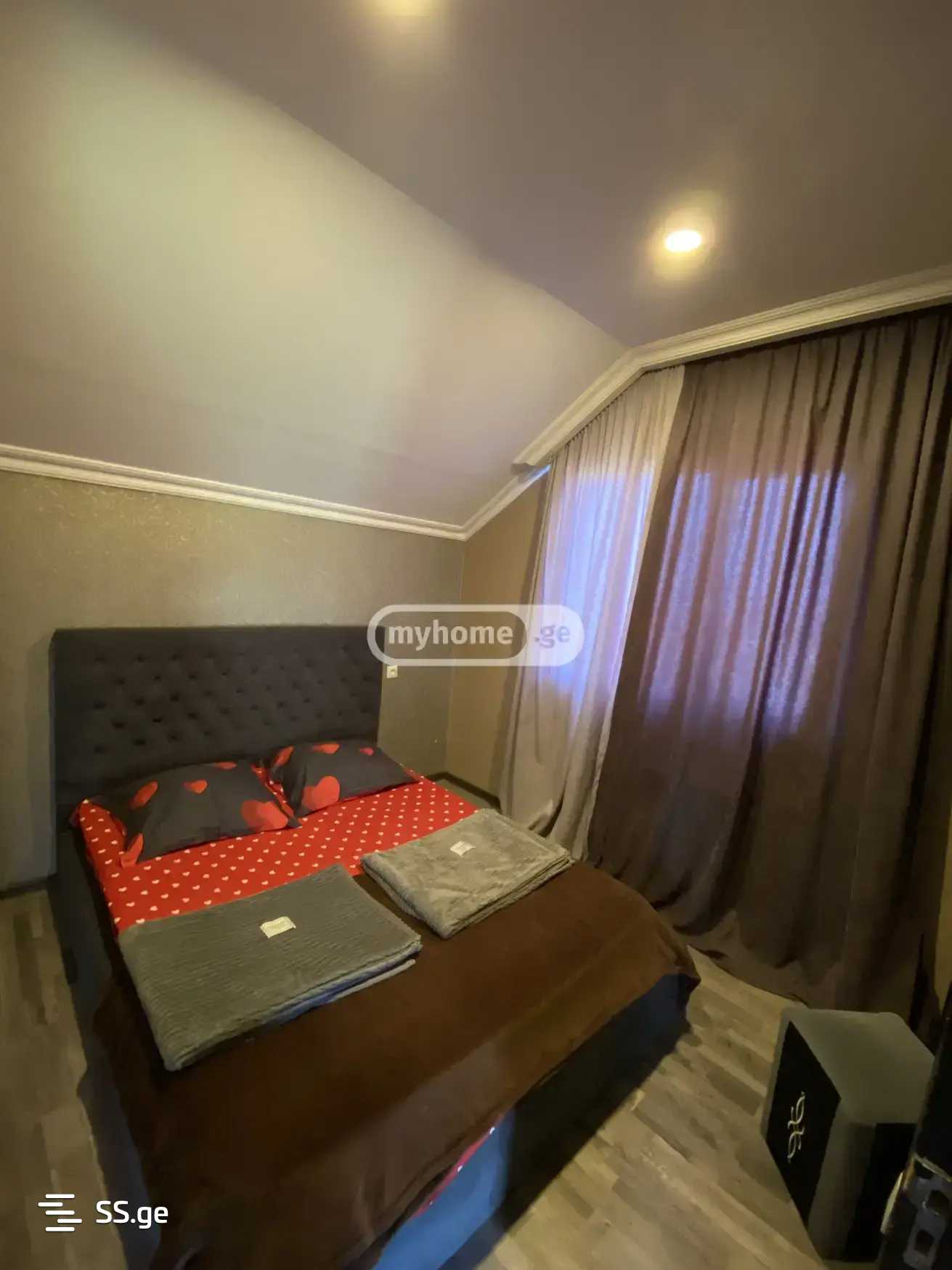 7 Room Private House Daily Rent. Saguramo view 8