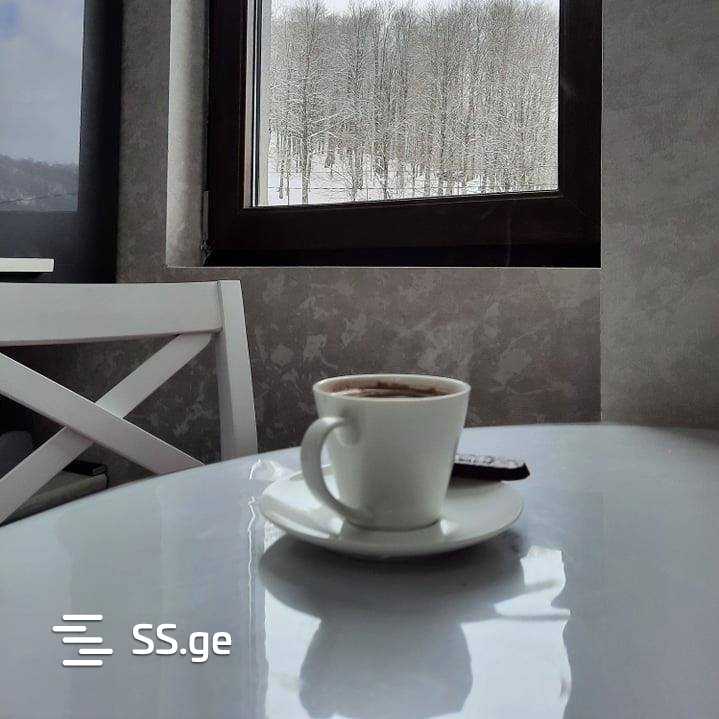 2 Room Flat Daily Rent. Bakuriani, 8 of 11