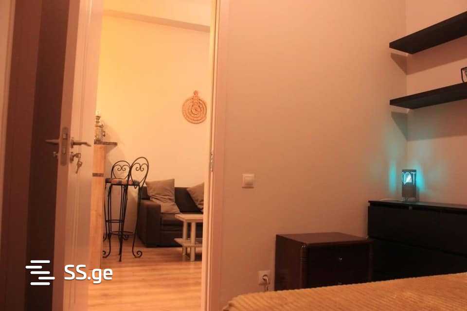 2 Room Flat For Rent. Mtatsminda view 4