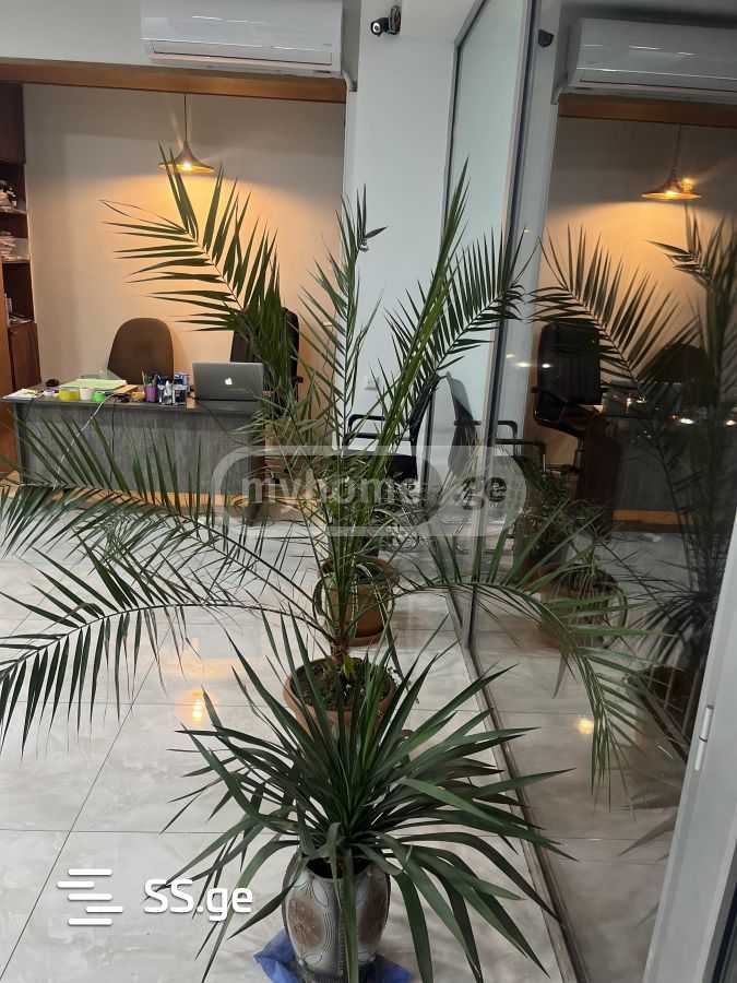 Commercial Space For Rent. Saburtalo view 3