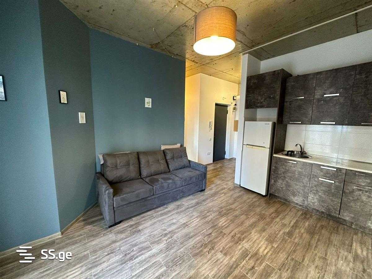 3 Room Flat For Rent. Saburtalo view 6