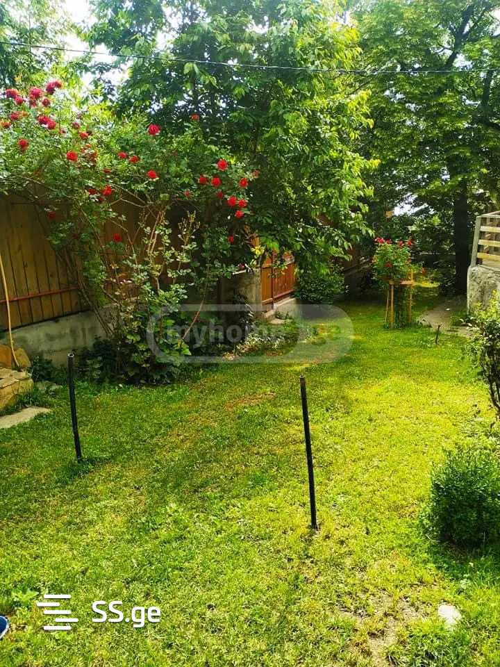 4 Room Summer Cottage Daily Rent. Kojori view 10