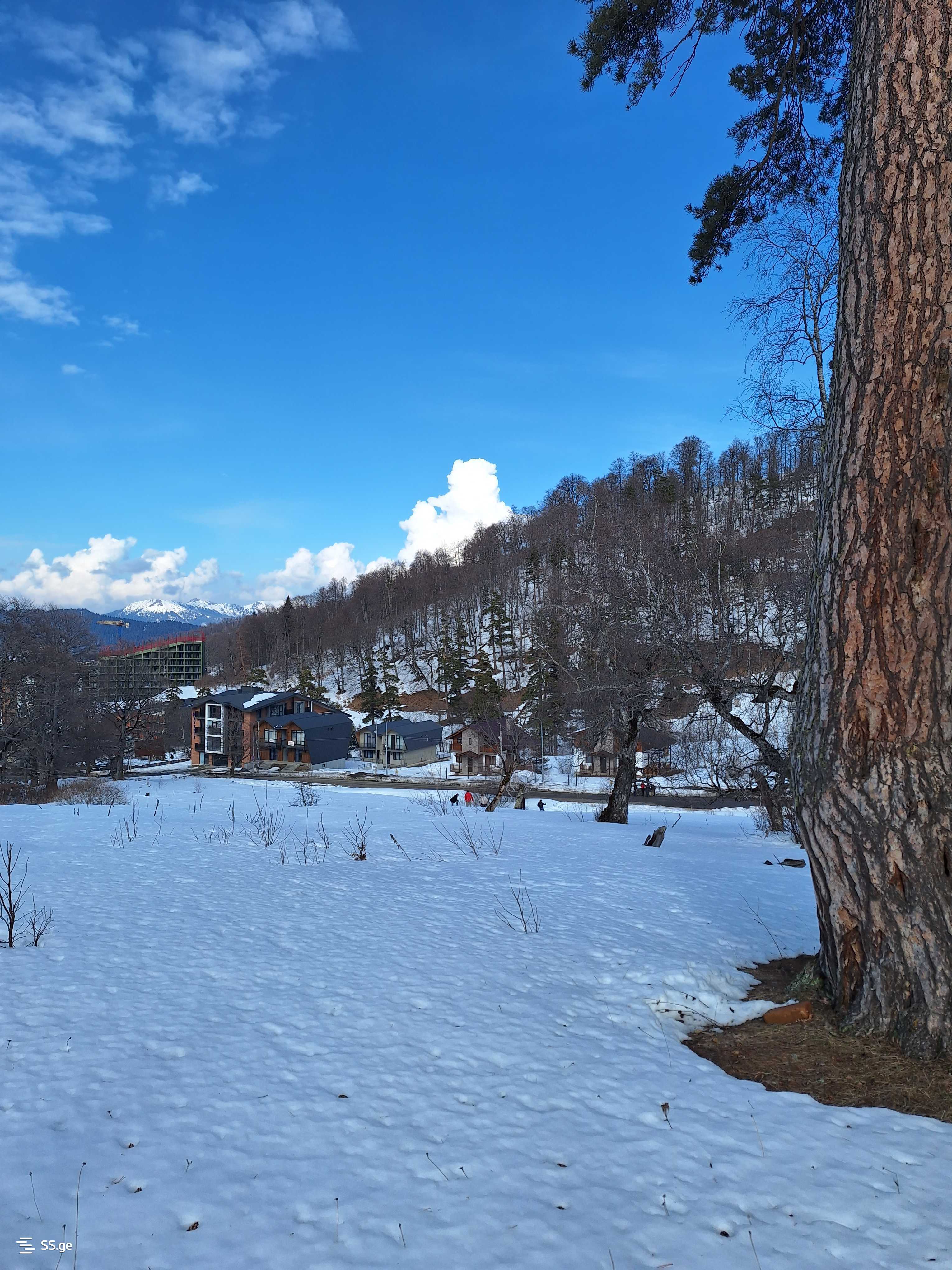 Land For Sale. Bakuriani view 1