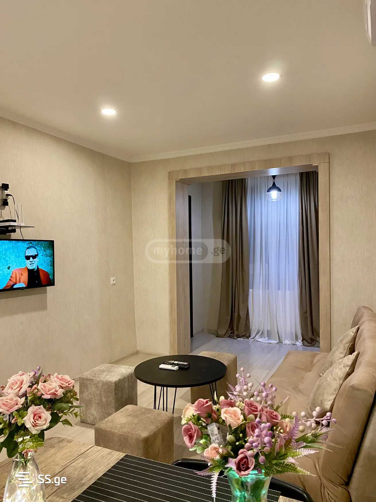 2 Room Flat Daily Rent. Chugureti view 6